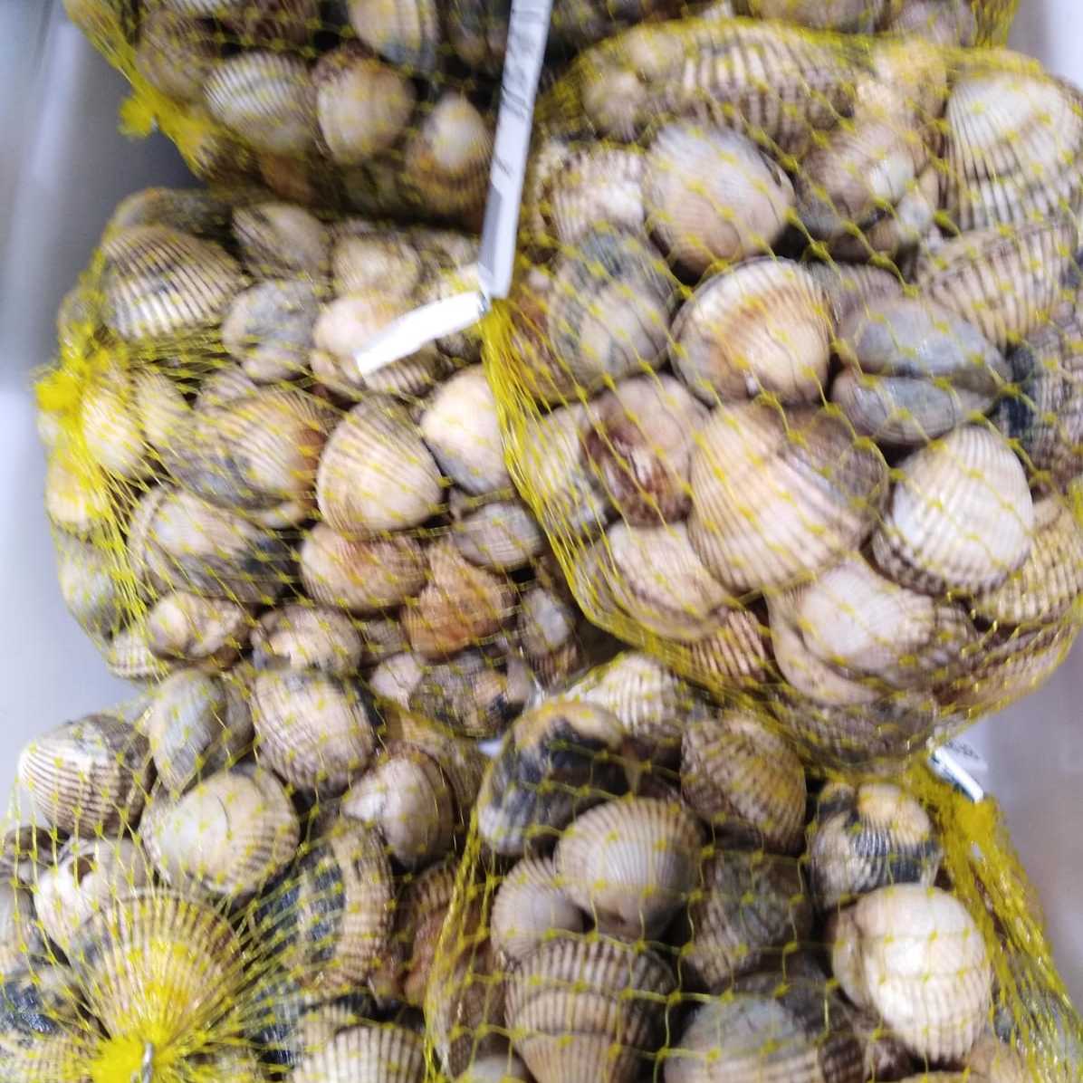 Berberecho €/Kg